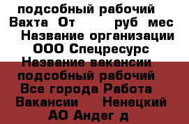 подсобный рабочий . Вахта. От 30 000 руб./мес. › Название организации ­ ООО Спецресурс › Название вакансии ­ подсобный рабочий - Все города Работа » Вакансии   . Ненецкий АО,Андег д.